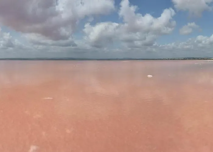 Apartamento Apartament Torresol