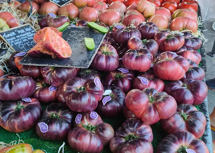 Apartamento Apartament Torresol Torrevieja