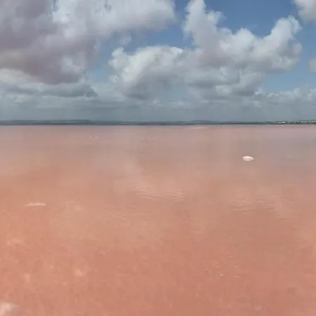 Apartment Apartament Torresol