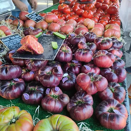 Apartment Apartament Torresol Torrevieja