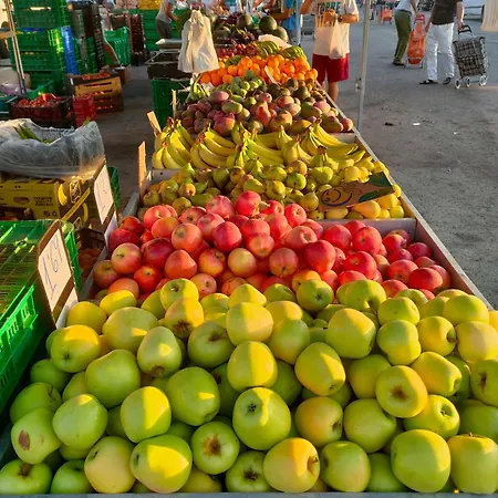 Apartment Apartament Torresol *